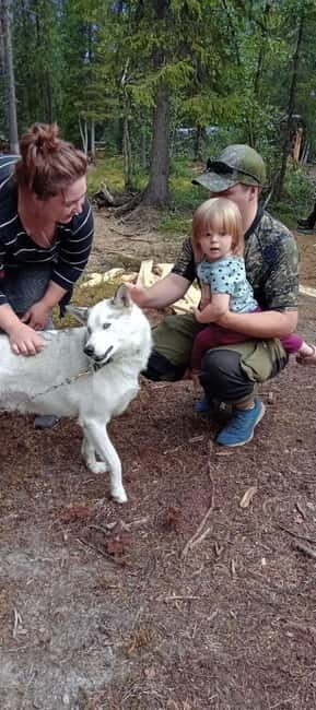 Levi: 2 KM Husky Summer Sledding with wheels - FAQ