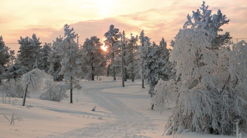 Levi: 4 Hour Snowmobile Safari to the Fells in Levi - Final Thoughts