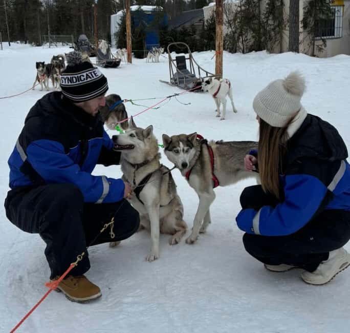 Levi: 5 Km Husky Sledding Ride in Levi - FAQ