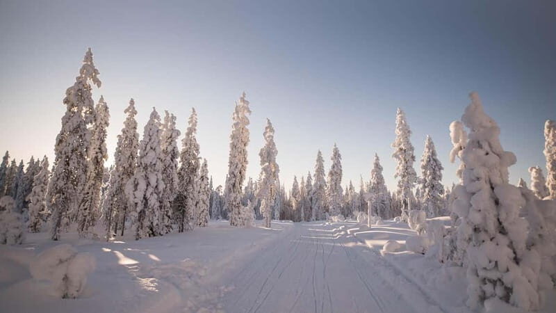 Levi: 6 Hour Authentic Snowmobile Safari to Lappish Villages - Frequently Asked Questions