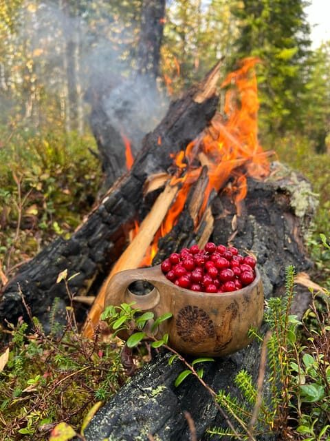 Levi: Autumn Hike and Reindeer Farm Visit - Key Points
