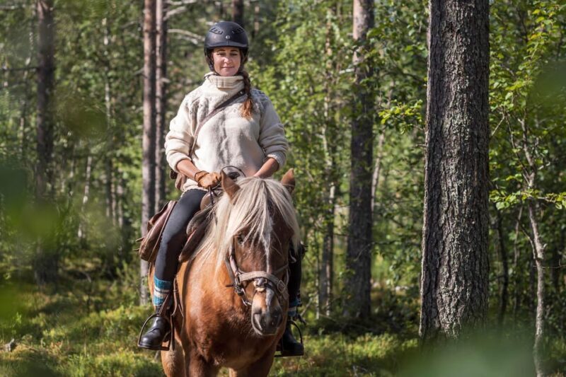 Levi: Evening Horseback Ride with Northern Lights - A Detailed Look at the Experience