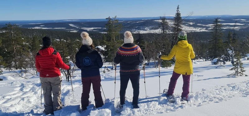 Levi: Evening Snowshoe Walk Under Northern Sky - Key Points