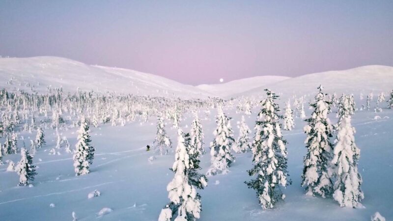 Levi: Explore the Wilderness - Exploring the Wilderness in Levi: A Genuine Arctic Adventure