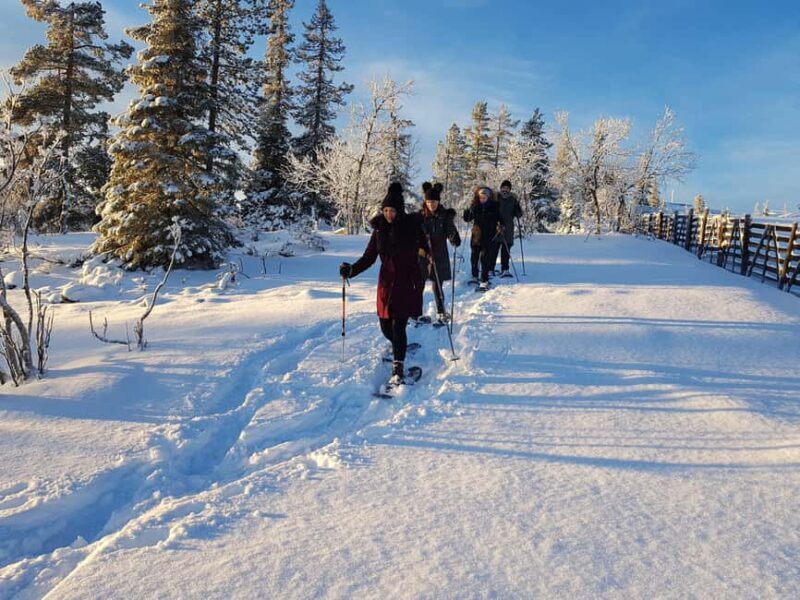 Levi: Gentle Snowshoe Walk in Winter Wilderness - Levi: Gentle Snowshoe Walk in Winter Wilderness – An Authentic Arctic Escape