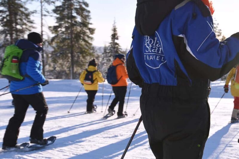 Levi: Gentle Snowshoe Walk in Winter Wilderness - Key Points