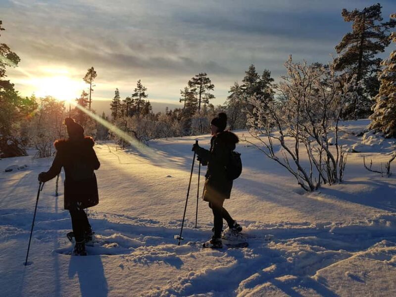 Levi: Gentle Snowshoe Walk in Winter Wilderness - Why This Tour Is a Great Choice for Your Arctic Adventure