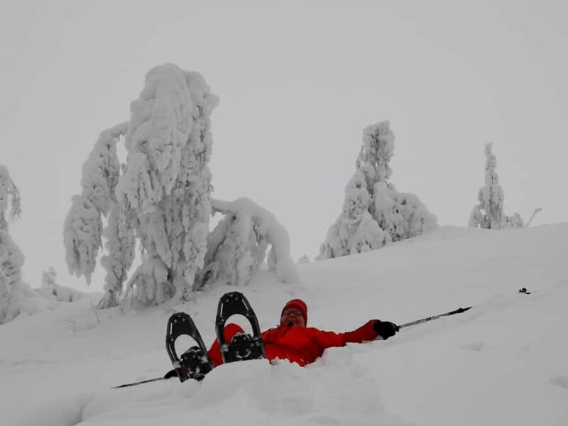 Levi: Gentle Snowshoe Walk in Winter Wilderness - Frequently Asked Questions
