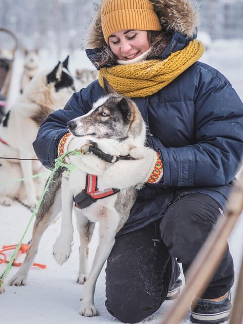 Levi: Guide-driven Husky Safari - Levi: Guide-driven Husky Safari