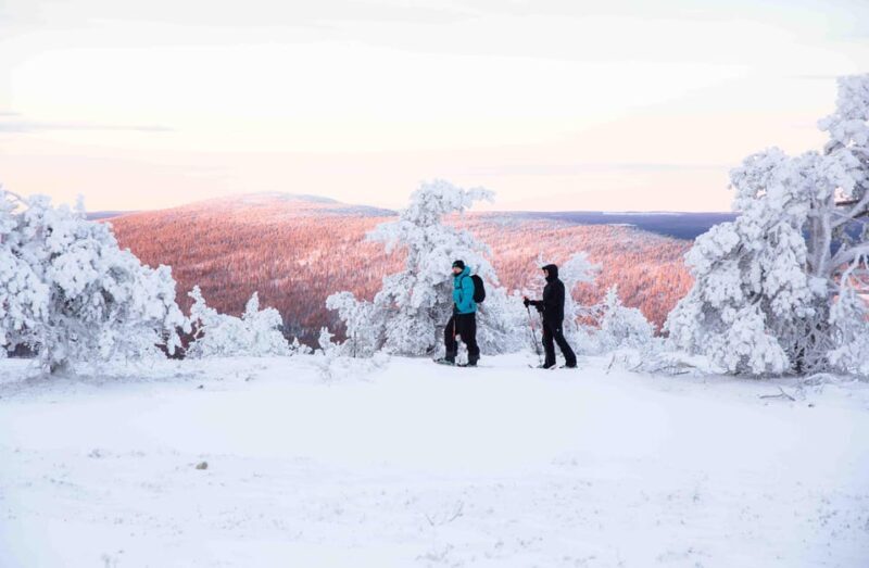 Levi: Guided Snowshoeing Adventure - Key Points