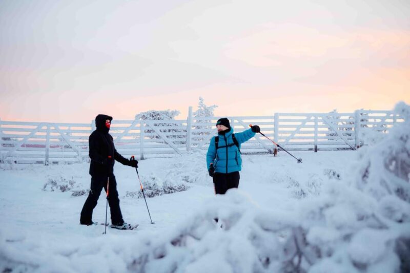 Levi: Guided Snowshoeing Adventure - Exploring the Details of the Levi Snowshoeing Tour