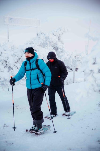 Levi: Guided Snowshoeing Adventure - Who Should Consider This Tour?