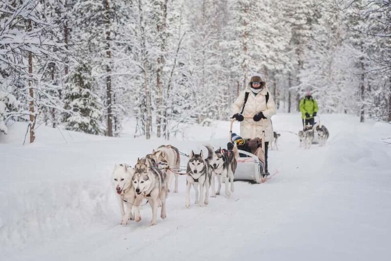 Levi: Husky Adventure Self-Drive Safari 15km - Key Points