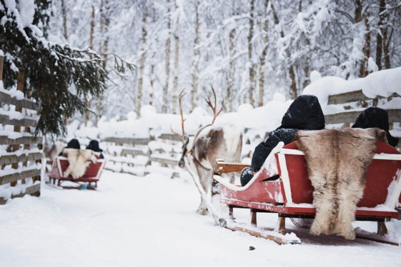 Levi: Husky and Reindeer Farm Visit with Snowmobiling - Key Points