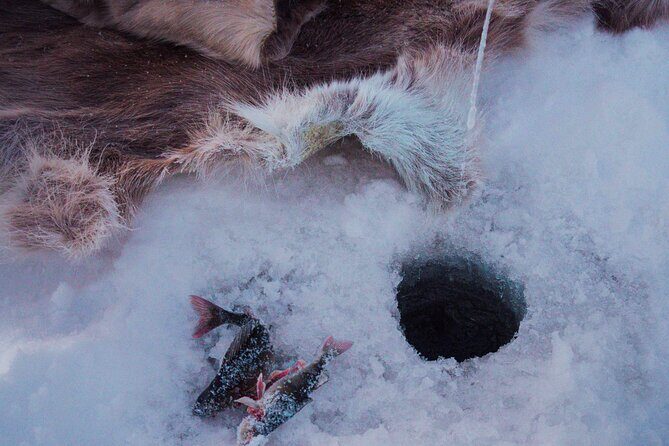 Levi Ice Fishing Experience in the Wild with Campfire Treats - Final Thoughts