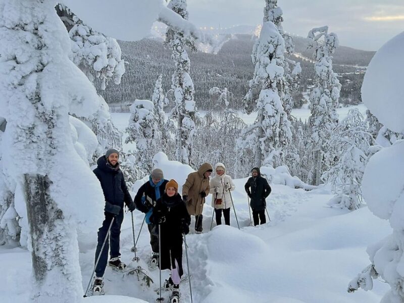 Levi: Lakeside forest snowshoeing - Levi: Lakeside Forest Snowshoeing — A Winter Wonderland Experience