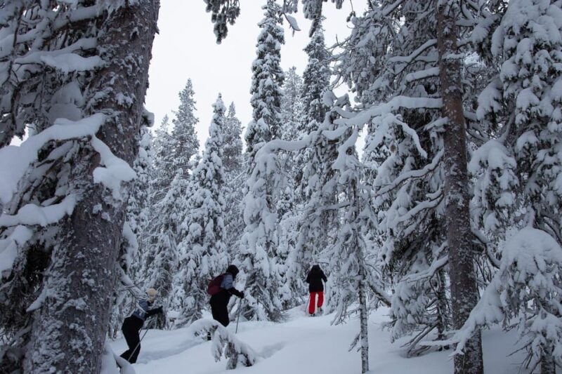Levi: Lakeside forest snowshoeing - Final Thoughts: Is It Worth It?