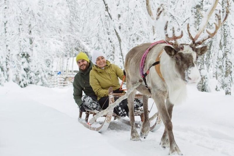 Levi: Lapland Reindeer and Husky Safari - Exploring Levi’s Lapland Reindeer and Husky Safari: An Authentic Arctic Adventure