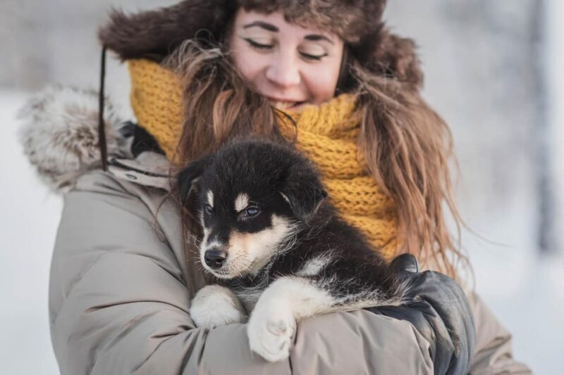 Levi: Nature Walk with Huskies - Who Will Love This Tour?