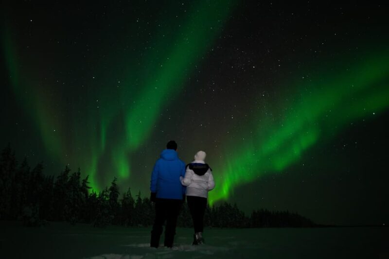 Levi: Northern Lights Sledge Ride - A Deep Dive Into the Tour Experience