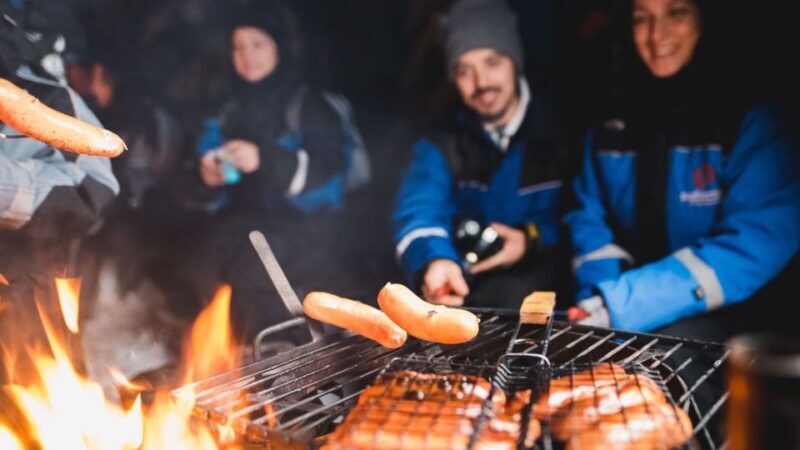 Levi: Northern Lights Snowmobile Tour with Snacks and Drinks - Authentic Arctic Adventure or Commercial Tour?