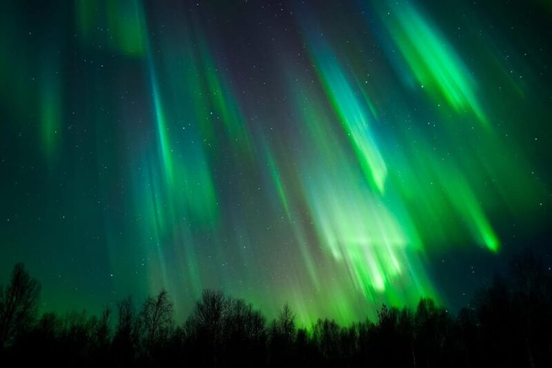 Levi: Northern Lights Tour with Guaranteed Sightings - Final Thoughts