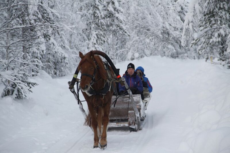 Levi: One Horse Open Sleigh Ride - A Closer Look at the Levi Sleigh Ride