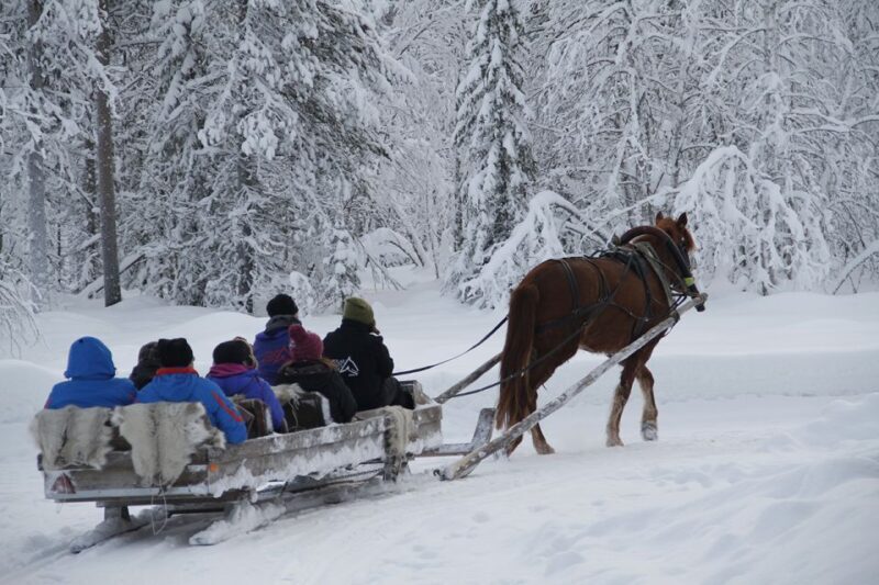 Levi: One Horse Open Sleigh Ride - Who Will Appreciate This Tour?