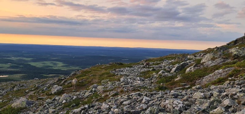 Levi: Pallas Panoramic Hike - The Sum Up