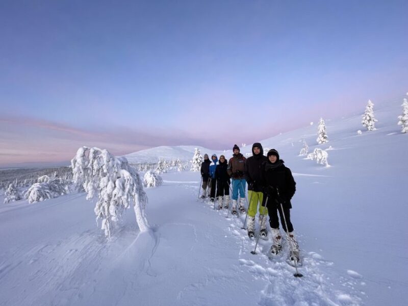 Levi: Pallas-Yllästunturi National Park Snowshoeing Tour - The Experience in Detail