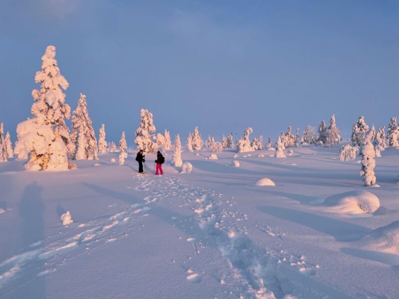 Levi: Pallas-Yllästunturi National Park Snowshoeing Tour - Analyzing the Value