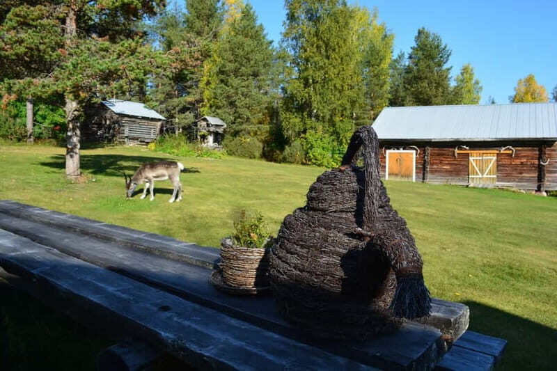 Levi: Peaceful Paddle on Ounasjoki River - Practical Details and What to Expect