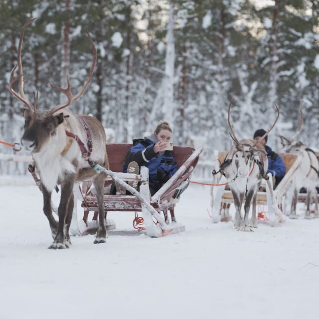 Levi: Reindeer and Husky Taster - What’s Included and How It Works