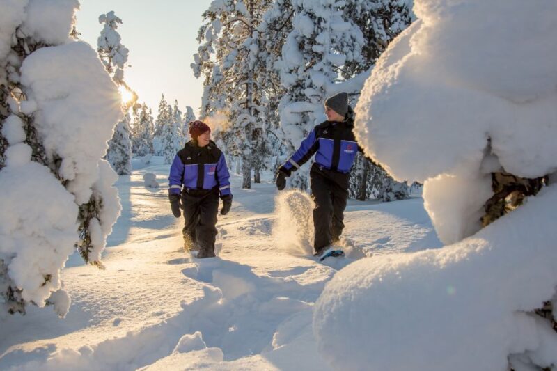 Levi: Scenic Levi Snowshoe Trip - Who Will Love This Tour?