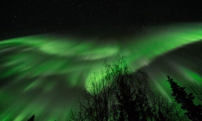 Levi: Search for Northern Lights in snowmobile sleigh - Quick Overview: What You Need to Know About the Levi Northern Lights Snowmobile Sleigh Tour