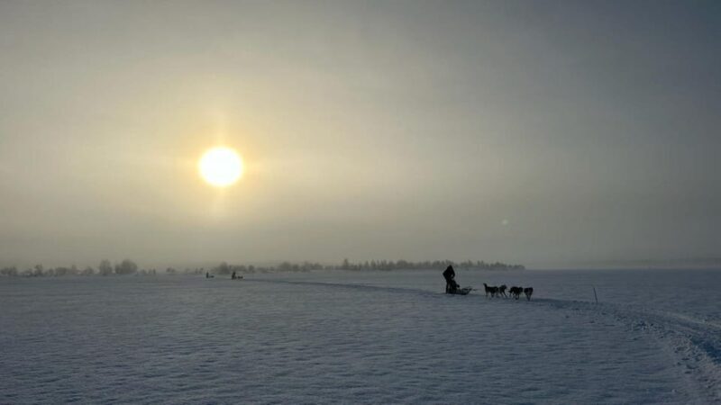 Levi: Self-Drive 5 KM Husky Sledding Experience - An In-Depth Look at the Levi Self-Drive Husky Experience