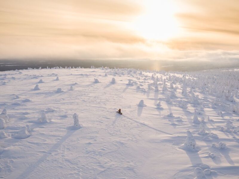 Levi: Snowmobiling Adventure - In-Depth Review of the Levi Snowmobiling Safari