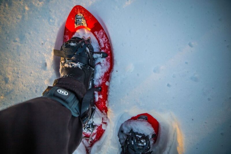 Levi: Snowshoe Adventure in the Wilderness - What Makes This Tour Stand Out?