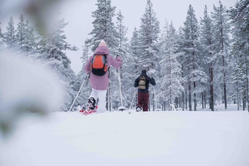 Levi: Snowshoe Adventure in the Wilderness - Who Should Book This Tour?