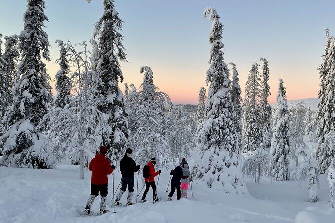 Levi: Snowshoeing adventure in the National Park - Exploring the Snowshoeing Adventure in Pallas-Yllästunturi National Park