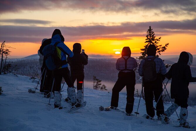 Levi: Snowshoeing adventure in the National Park - The Sum Up