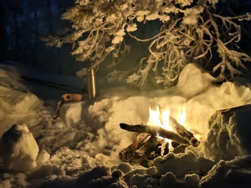 Levi: Snowshoeing and Marshmallow Grilling in the Snow - Exploring the Tour in Detail