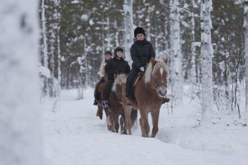Levi: Snowy Forest Ride and Polar Lights Tours - Final Thoughts