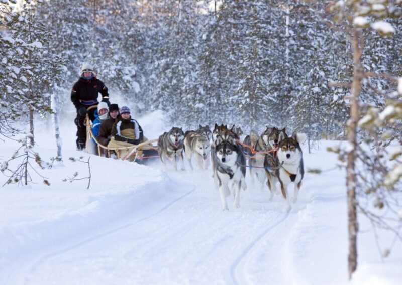 Levi: Winter Highlights Tour with Snowmobiling - In-Depth Review