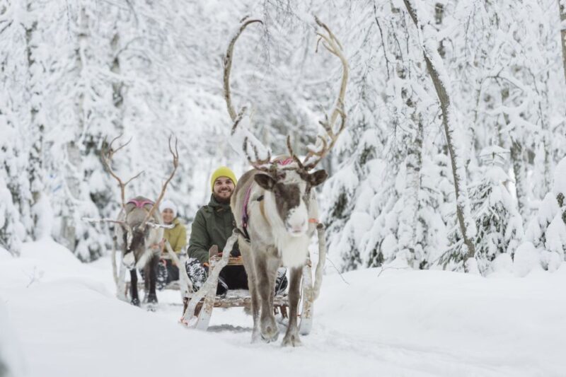 Levi: Winter Highlights Tour with Snowmobiling - Visiting the Reindeer & Husky Farms