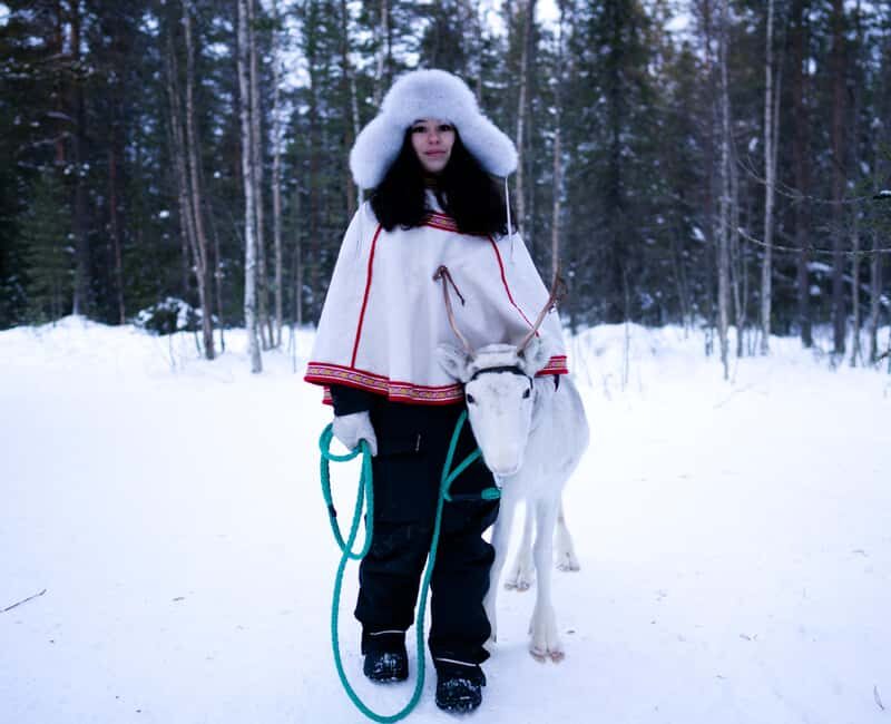 Levi: Winter Wilderness Husky & Reindeer Safari Combo Tour - Introduction: A Genuine Arctic Adventure in Lapland