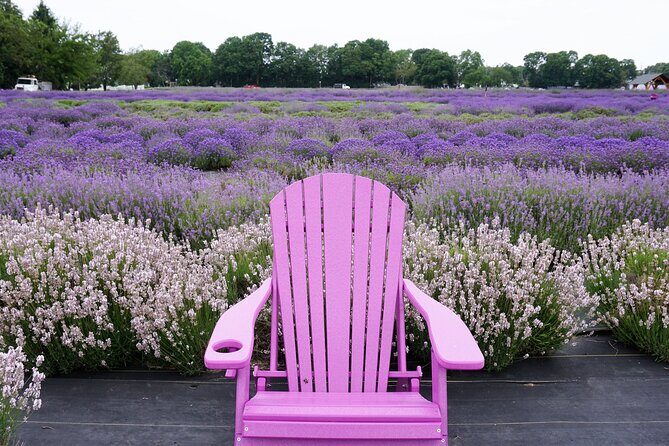Lewin Farms, Lavender By The Bay and Tanger Outlets Full-Day Tour - Exploring the Itinerary in Detail