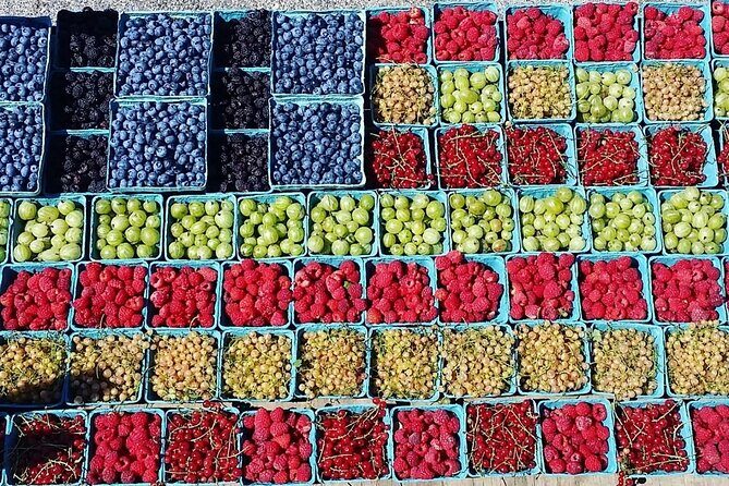 Lewin Farms, Lavender By The Bay and Tanger Outlets Full-Day Tour - Final Thoughts