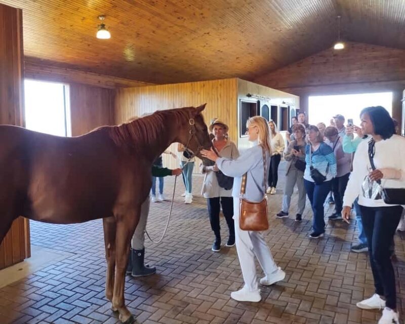 Lexington: Thoroughbred Horse Farm Tour and Scenic Bluegrass - Exploring Lexington: Thoroughbred Horse Farm Tour and Scenic Bluegrass