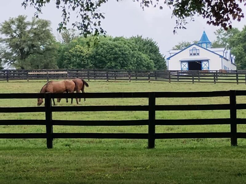 Lexington: Thoroughbred Horse Farm Tour and Scenic Bluegrass - FAQs